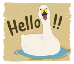 Sound of swans(English) sticker #4863848