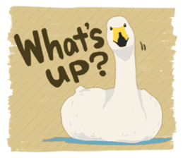 Sound of swans(English) sticker #4863850