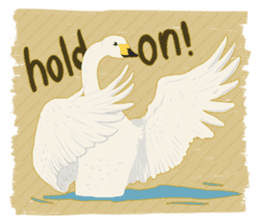 Sound of swans(English) sticker #4863864