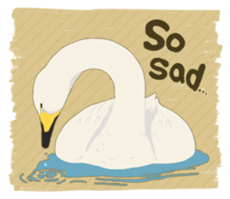 Sound of swans(English) sticker #4863869