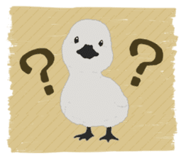 Sound of swans(English) sticker #4863873