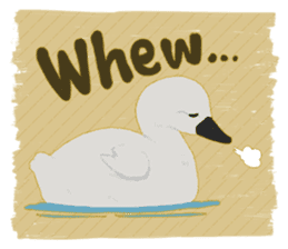 Sound of swans(English) sticker #4863875