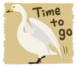 Sound of swans(English) sticker #4863881