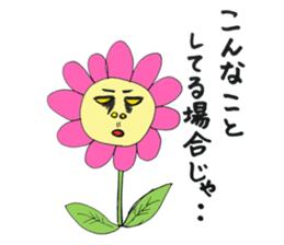 Picture of the pupil sticker #4865156