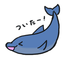 Dolphins sticker #4865396