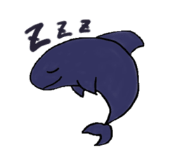 Dolphins sticker #4865406