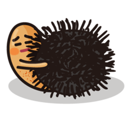 Song of sea urchin sticker #4865415