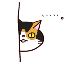 Syo-chan,calico cat sticker #4869477