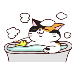 Syo-chan,calico cat sticker #4869488