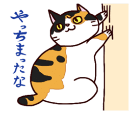 Syo-chan,calico cat sticker #4869496