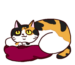 Syo-chan,calico cat sticker #4869501