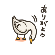 Funny White Ducks sticker #4871744