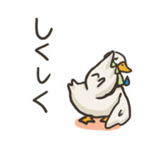Funny White Ducks sticker #4871756