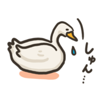 Funny White Ducks sticker #4871758