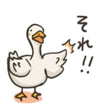 Funny White Ducks sticker #4871759