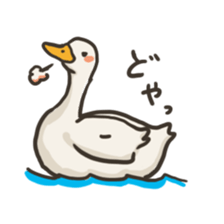 Funny White Ducks sticker #4871764