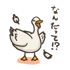 Funny White Ducks sticker #4871765