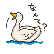 Funny White Ducks sticker #4871766