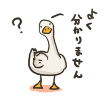 Funny White Ducks sticker #4871771