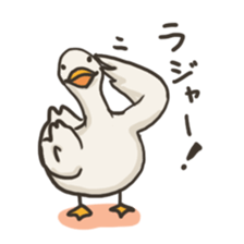 Funny White Ducks sticker #4871772