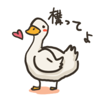 Funny White Ducks sticker #4871777