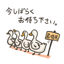 Funny White Ducks sticker #4871778