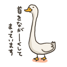 Funny White Ducks sticker #4871779