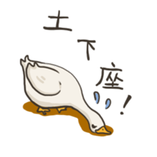 Funny White Ducks sticker #4871782