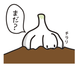 KAMISHIHI-NINNIkun -a garlic boy- sticker #4872416