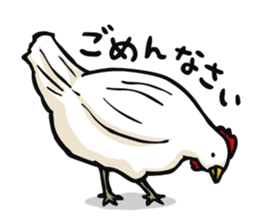The chicken to flatter sticker #4873170