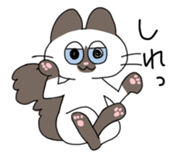 Cat Assortment sticker #4875727