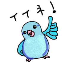 Pacific Parrotlet Stickers sticker #4877492