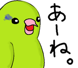 Pacific Parrotlet Stickers sticker #4877501