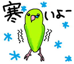 Pacific Parrotlet Stickers sticker #4877516