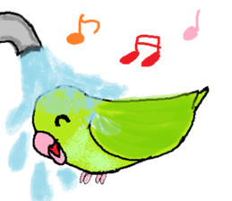 Pacific Parrotlet Stickers sticker #4877518