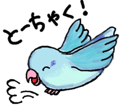 Pacific Parrotlet Stickers sticker #4877520