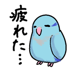 Pacific Parrotlet Stickers sticker #4877522