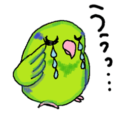 Pacific Parrotlet Stickers sticker #4877523