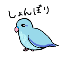 Pacific Parrotlet Stickers sticker #4877525