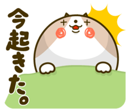 Cat, Maru. sticker #4879273