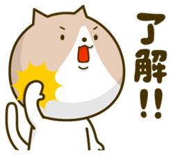 Cat, Maru. sticker #4879280