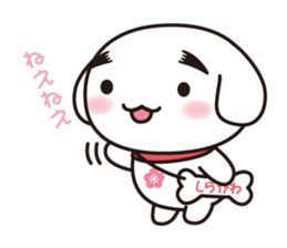 Shirakawan. Shirakawa City character. sticker #4882214