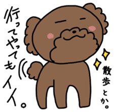 Toy poodle "Bear" sticker #4882752