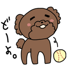 Toy poodle "Bear" sticker #4882754