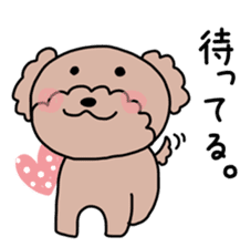 Toy poodle "Bear" sticker #4882760