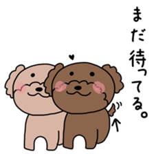 Toy poodle "Bear" sticker #4882761