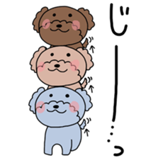 Toy poodle "Bear" sticker #4882762