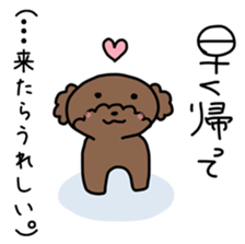 Toy poodle "Bear" sticker #4882763