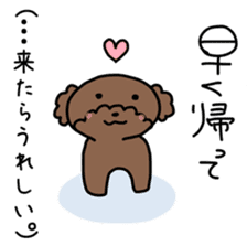 Toy poodle "Bear" sticker #4882763