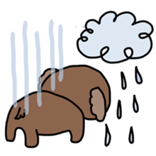 Toy poodle "Bear" sticker #4882767